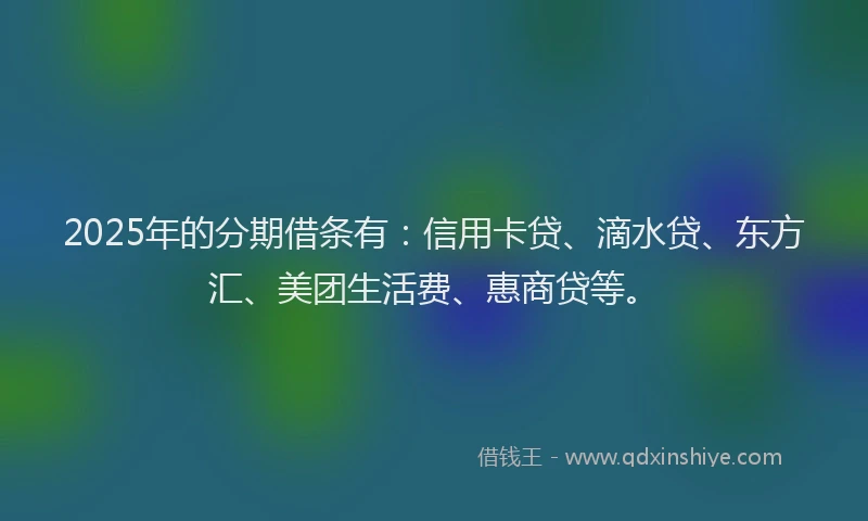 2025年的分期借条有：信用卡贷、滴水贷、东方汇、美团生活费、惠商贷等。