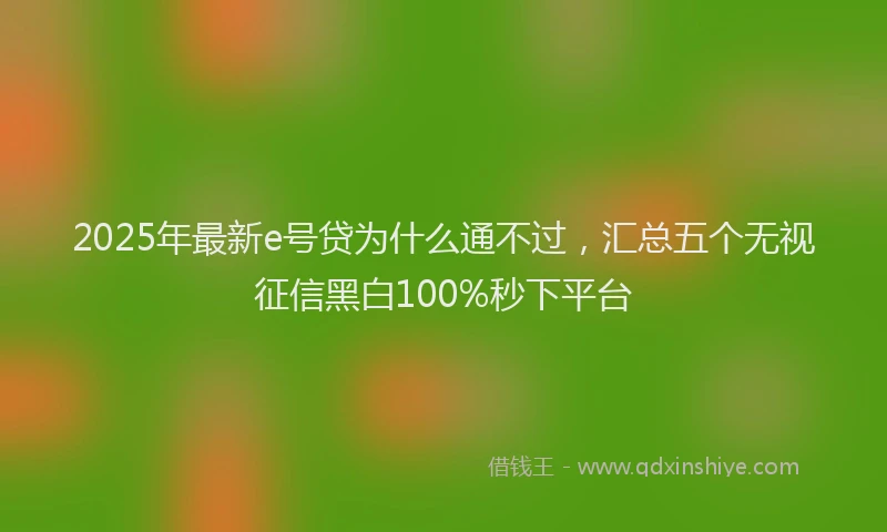 2025年最新e号贷为什么通不过，汇总五个无视征信黑白100%秒下平台