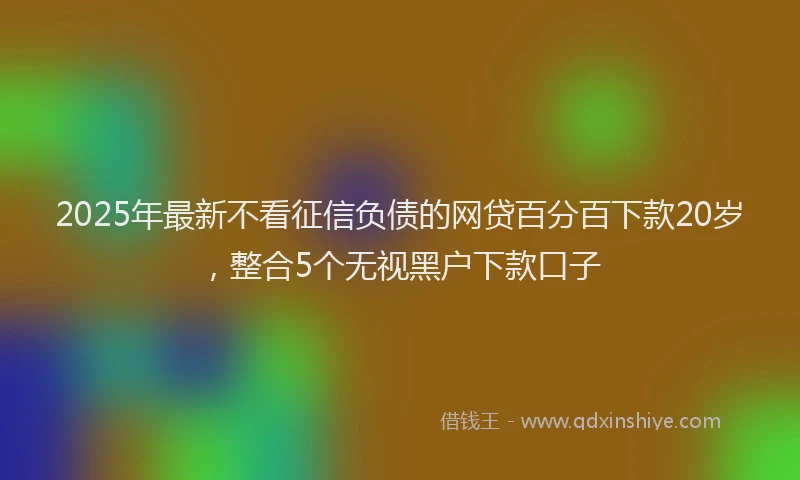 2025年最新不看征信负债的网贷百分百下款20岁，整合5个无视黑户下款口子