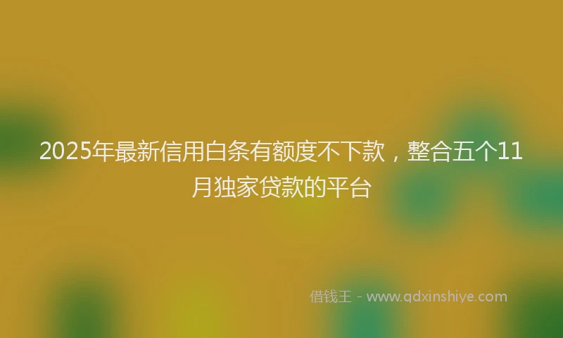 2025年最新信用白条有额度不下款，整合五个11月独家贷款的平台