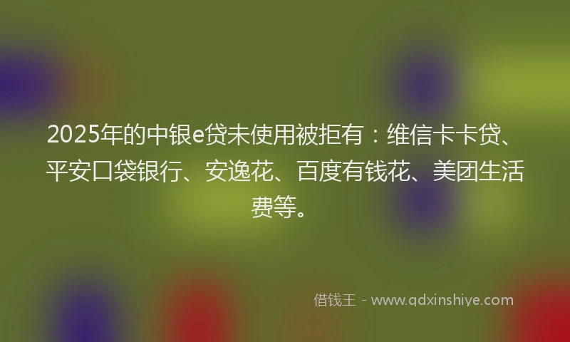 2025年的中银e贷未使用被拒有：维信卡卡贷、平安口袋银行、安逸花、百度有钱花、美团生活费等。