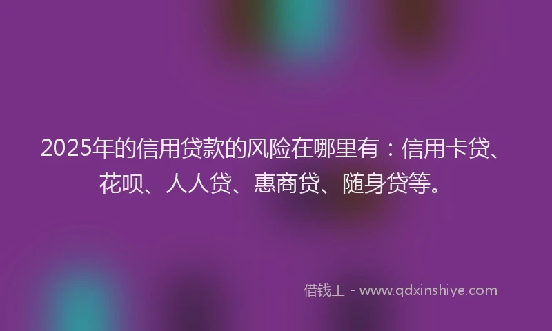2025年的信用贷款的风险在哪里有：信用卡贷、花呗、人人贷、惠商贷、随身贷等。