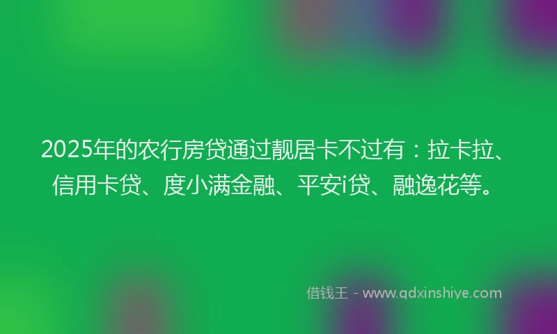 2025年的农行房贷通过靓居卡不过有：拉卡拉、信用卡贷、度小满金融、平安i贷、融逸花等。