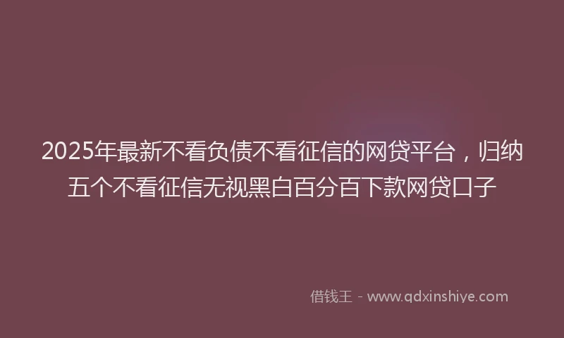 2025年最新不看负债不看征信的网贷平台，归纳五个不看征信无视黑白百分百下款网贷口子