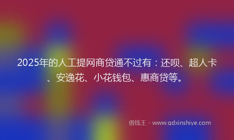 2025年的人工提网商贷通不过有：还呗、超人卡、安逸花、小花钱包、惠商贷等。