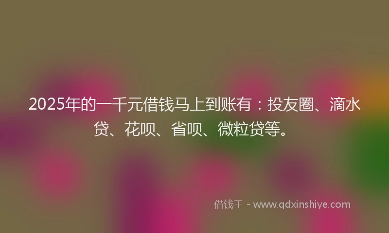 2025年的一千元借钱马上到账有：投友圈、滴水贷、花呗、省呗、微粒贷等。