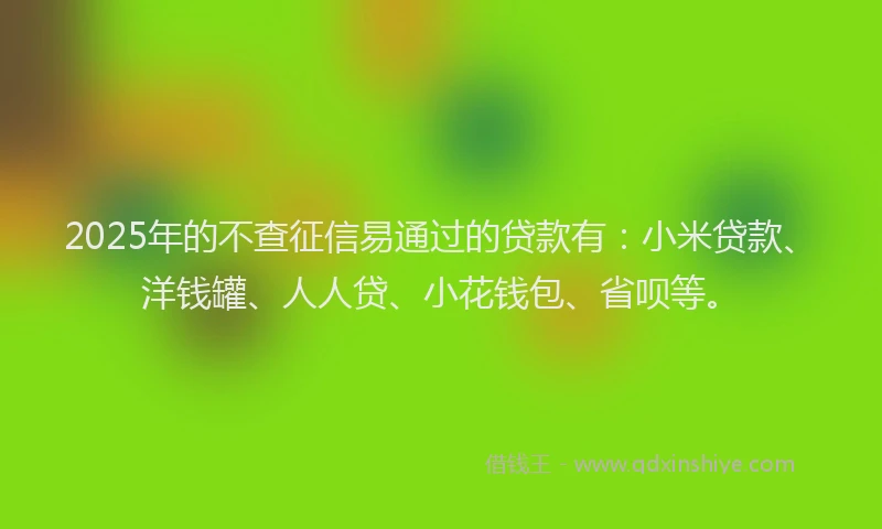 2025年的不查征信易通过的贷款有：小米贷款、洋钱罐、人人贷、小花钱包、省呗等。