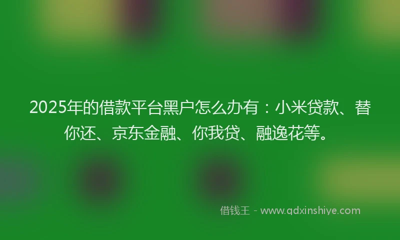 2025年的借款平台黑户怎么办有：小米贷款、替你还、京东金融、你我贷、融逸花等。