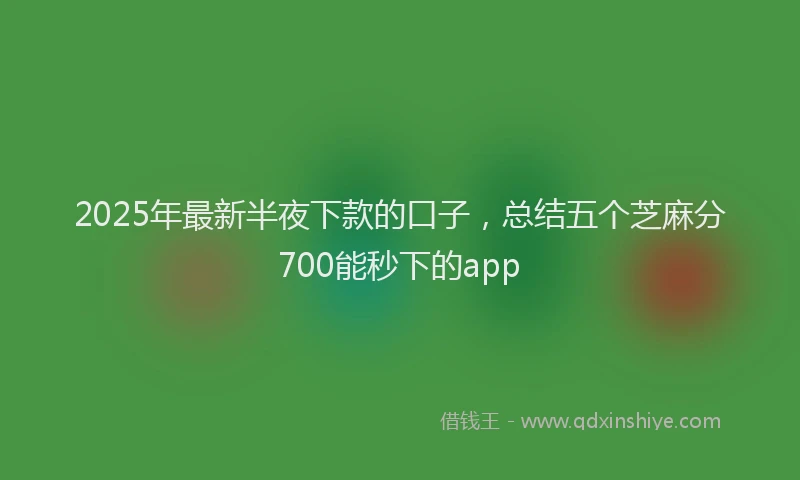 2025年最新半夜下款的口子，总结五个芝麻分700能秒下的app