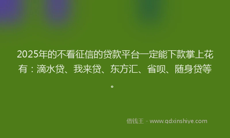 2025年的不看征信的贷款平台一定能下款掌上花有：滴水贷、我来贷、东方汇、省呗、随身贷等。