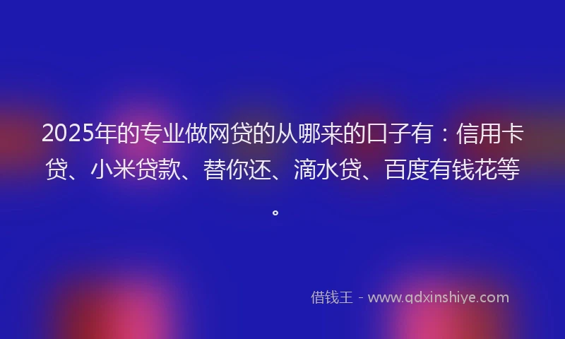 2025年的专业做网贷的从哪来的口子有：信用卡贷、小米贷款、替你还、滴水贷、百度有钱花等。