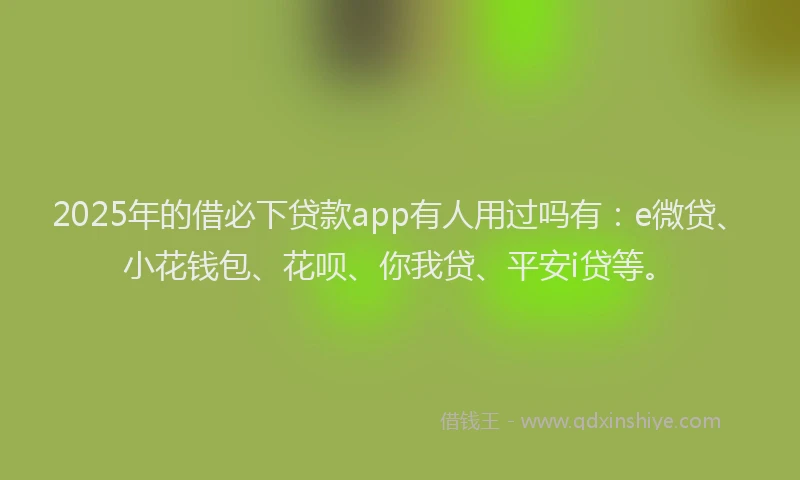 2025年的借必下贷款app有人用过吗有：e微贷、小花钱包、花呗、你我贷、平安i贷等。
