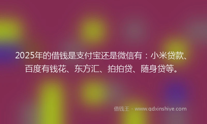 2025年的借钱是支付宝还是微信有：小米贷款、百度有钱花、东方汇、拍拍贷、随身贷等。