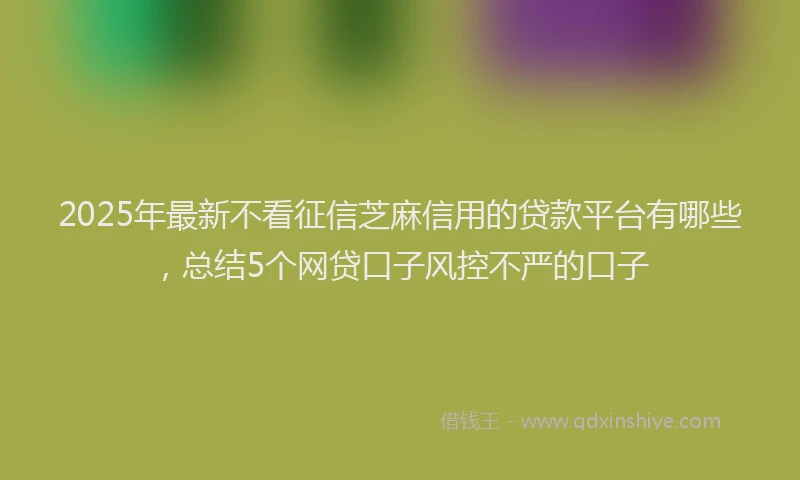 2025年最新不看征信芝麻信用的贷款平台有哪些，总结5个网贷口子风控不严的口子
