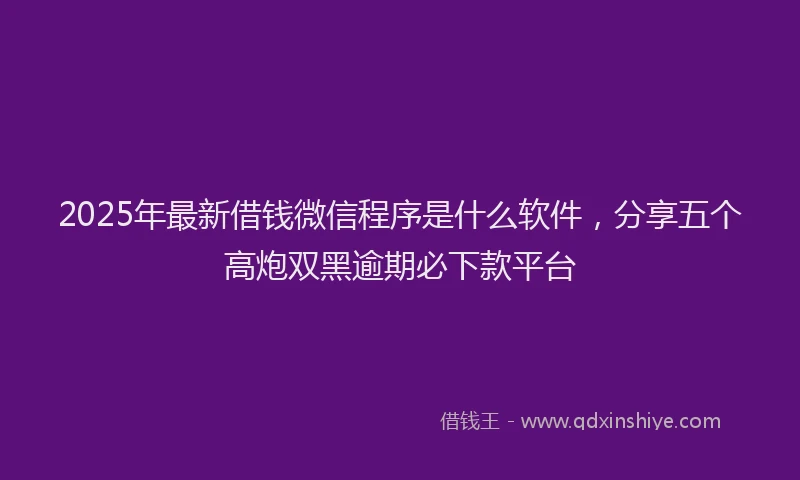 2025年最新借钱微信程序是什么软件，分享五个高炮双黑逾期必下款平台
