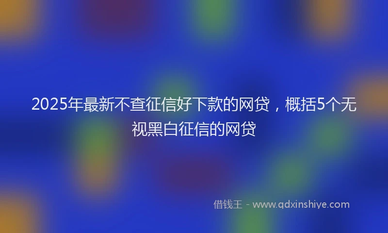 2025年最新不查征信好下款的网贷，概括5个无视黑白征信的网贷