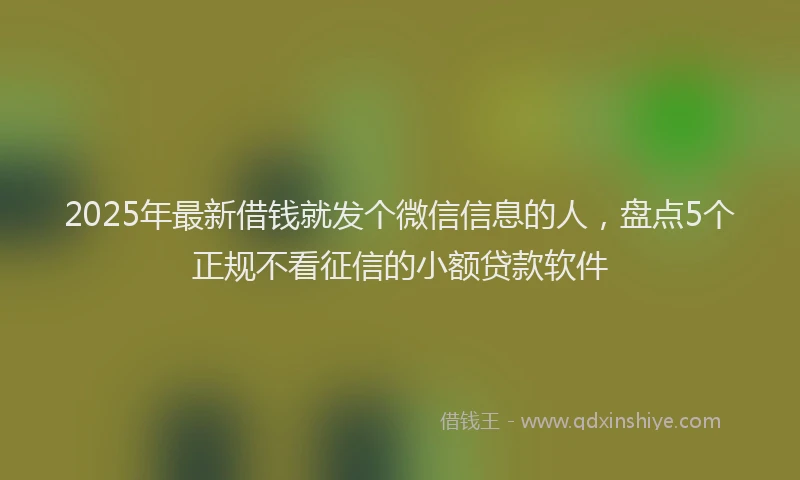 2025年最新借钱就发个微信信息的人，盘点5个正规不看征信的小额贷款软件