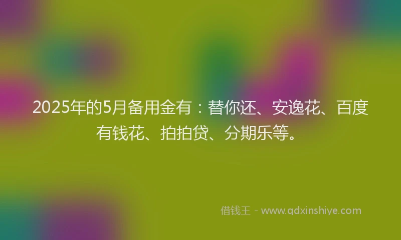 2025年的5月备用金有：替你还、安逸花、百度有钱花、拍拍贷、分期乐等。