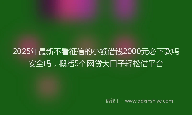 2025年最新不看征信的小额借钱2000元必下款吗安全吗，概括5个网贷大口子轻松借平台