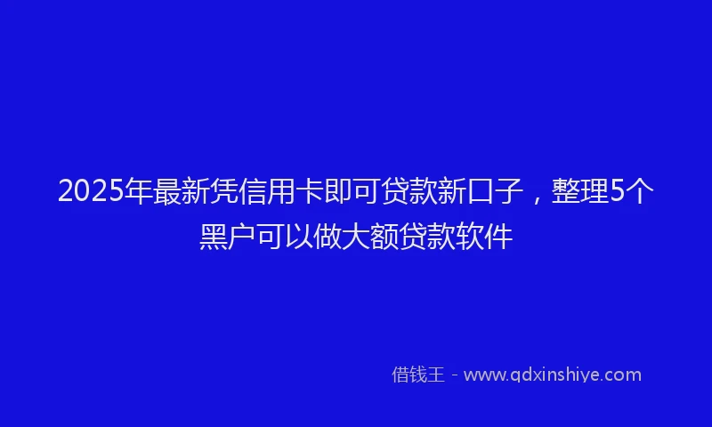 2025年最新凭信用卡即可贷款新口子，整理5个黑户可以做大额贷款软件
