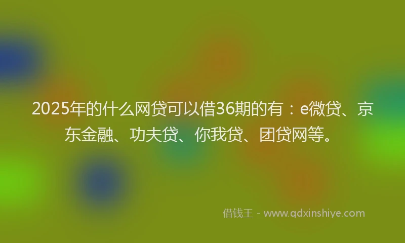 2025年的什么网贷可以借36期的有：e微贷、京东金融、功夫贷、你我贷、团贷网等。