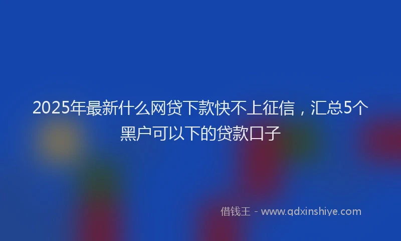 2025年最新什么网贷下款快不上征信，汇总5个黑户可以下的贷款口子