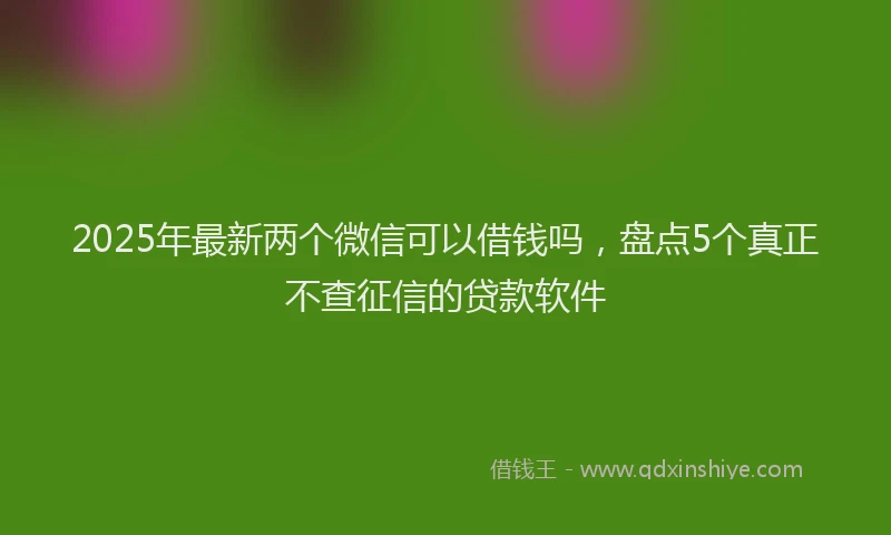 2025年最新两个微信可以借钱吗，盘点5个真正不查征信的贷款软件