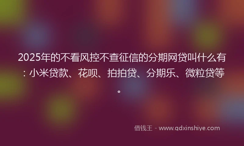 2025年的不看风控不查征信的分期网贷叫什么有：小米贷款、花呗、拍拍贷、分期乐、微粒贷等。