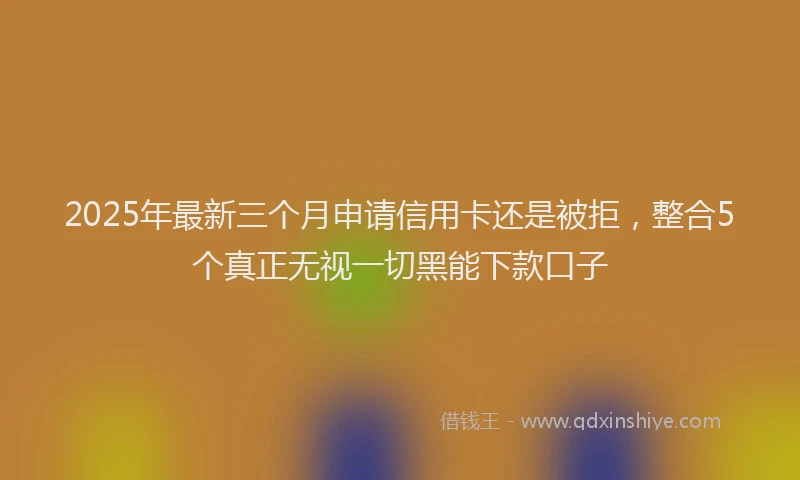 2025年最新三个月申请信用卡还是被拒，整合5个真正无视一切黑能下款口子