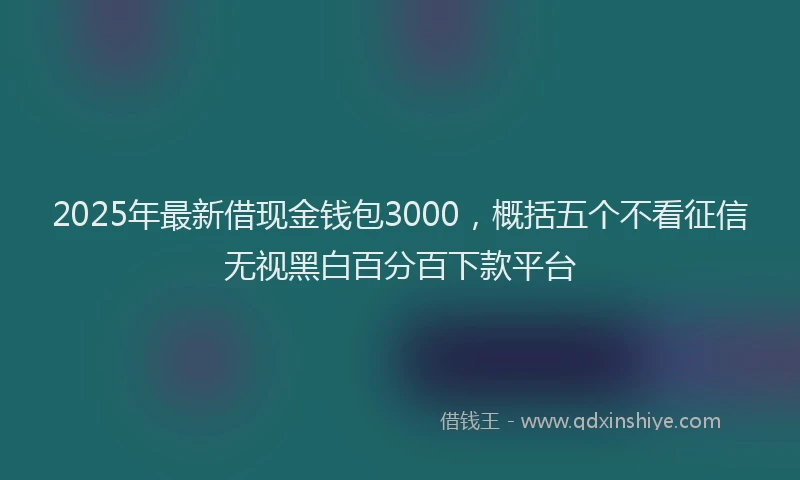 2025年最新借现金钱包3000，概括五个不看征信无视黑白百分百下款平台