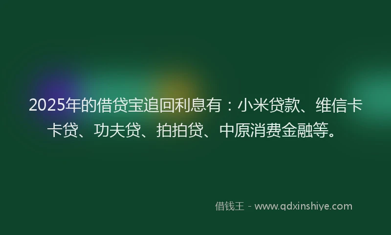 2025年的借贷宝追回利息有：小米贷款、维信卡卡贷、功夫贷、拍拍贷、中原消费金融等。