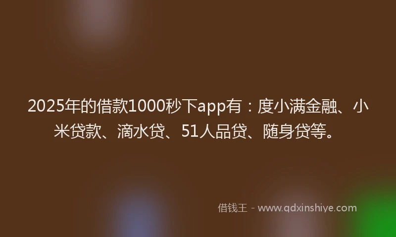 2025年的借款1000秒下app有：度小满金融、小米贷款、滴水贷、51人品贷、随身贷等。