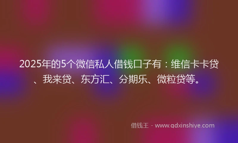 2025年的5个微信私人借钱口子有：维信卡卡贷、我来贷、东方汇、分期乐、微粒贷等。