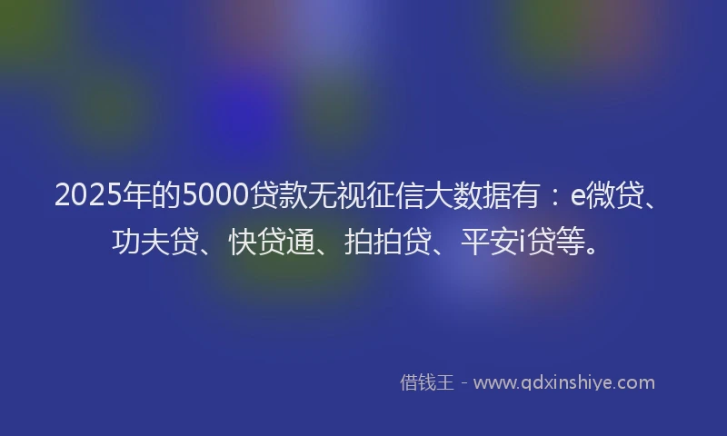 2025年的5000贷款无视征信大数据有：e微贷、功夫贷、快贷通、拍拍贷、平安i贷等。