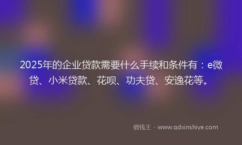 2025年的企业贷款需要什么手续和条件有：e微贷、小米贷款、花呗、功夫贷、安逸花等。