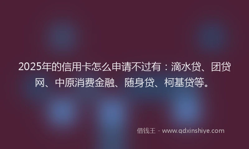 2025年的信用卡怎么申请不过有：滴水贷、团贷网、中原消费金融、随身贷、柯基贷等。
