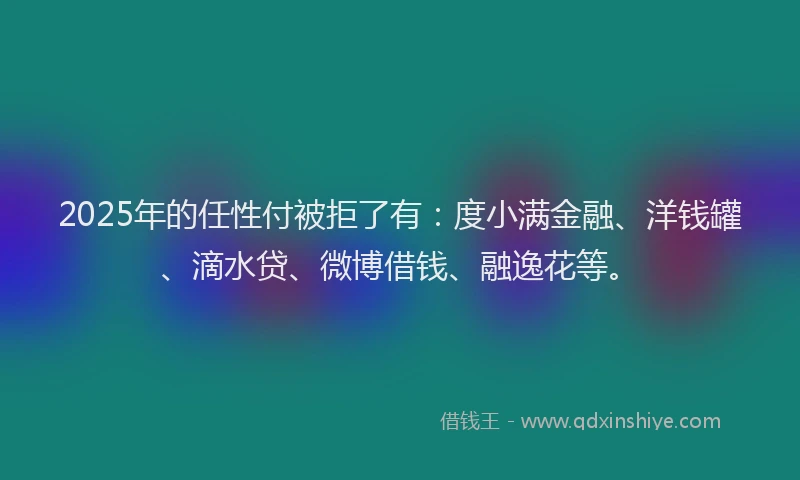 2025年的任性付被拒了有：度小满金融、洋钱罐、滴水贷、微博借钱、融逸花等。