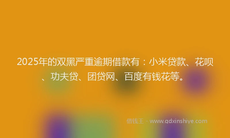 2025年的双黑严重逾期借款有：小米贷款、花呗、功夫贷、团贷网、百度有钱花等。