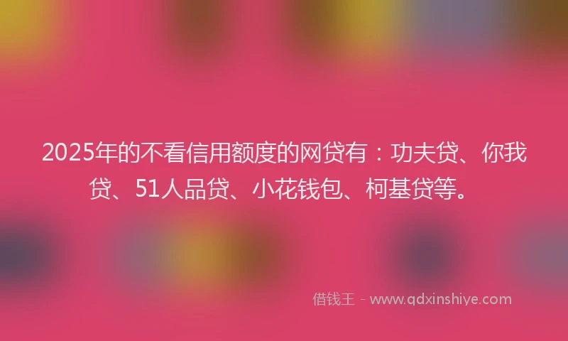 2025年的不看信用额度的网贷有：功夫贷、你我贷、51人品贷、小花钱包、柯基贷等。