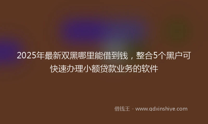 2025年最新双黑哪里能借到钱，整合5个黑户可快速办理小额贷款业务的软件