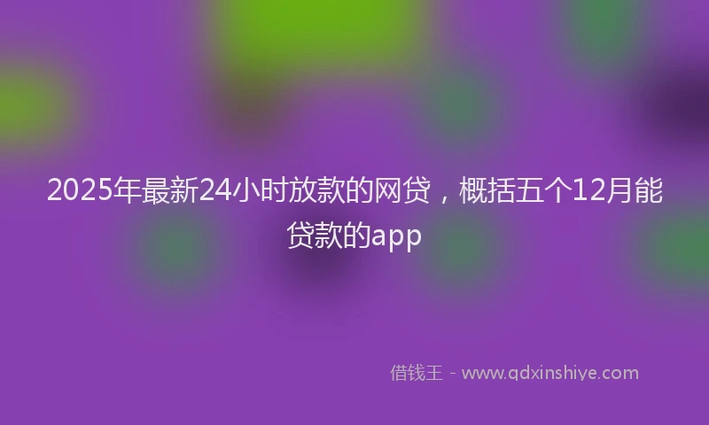 2025年最新24小时放款的网贷，概括五个12月能贷款的app