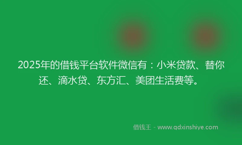 2025年的借钱平台软件微信有：小米贷款、替你还、滴水贷、东方汇、美团生活费等。