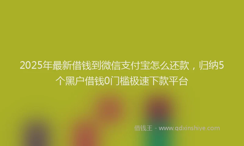 2025年最新借钱到微信支付宝怎么还款，归纳5个黑户借钱0门槛极速下款平台