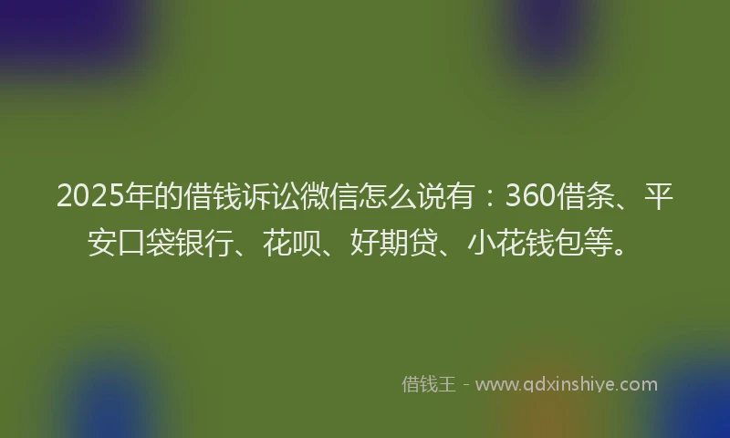2025年的借钱诉讼微信怎么说有：360借条、平安口袋银行、花呗、好期贷、小花钱包等。