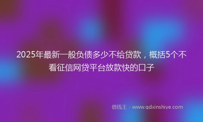 2025年最新一般负债多少不给贷款，概括5个不看征信网贷平台放款快的口子