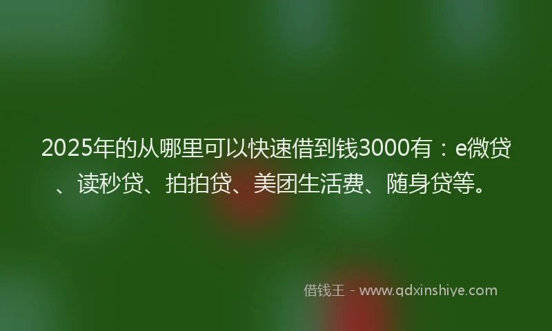 2025年的从哪里可以快速借到钱3000有：e微贷、读秒贷、拍拍贷、美团生活费、随身贷等。