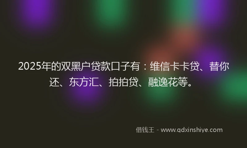 2025年的双黑户贷款口子有：维信卡卡贷、替你还、东方汇、拍拍贷、融逸花等。