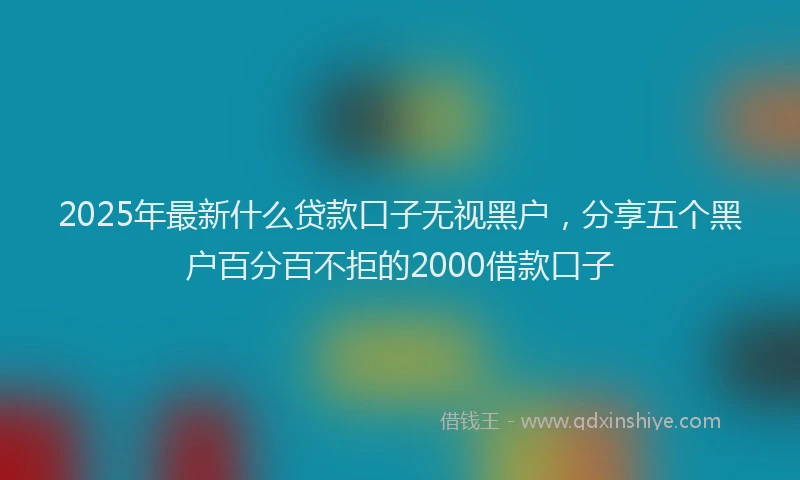 2025年最新什么贷款口子无视黑户，分享五个黑户百分百不拒的2000借款口子