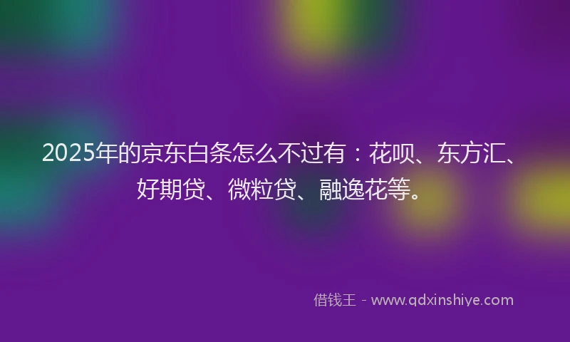2025年的京东白条怎么不过有：花呗、东方汇、好期贷、微粒贷、融逸花等。