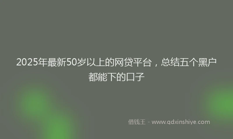 2025年最新50岁以上的网贷平台，总结五个黑户都能下的口子